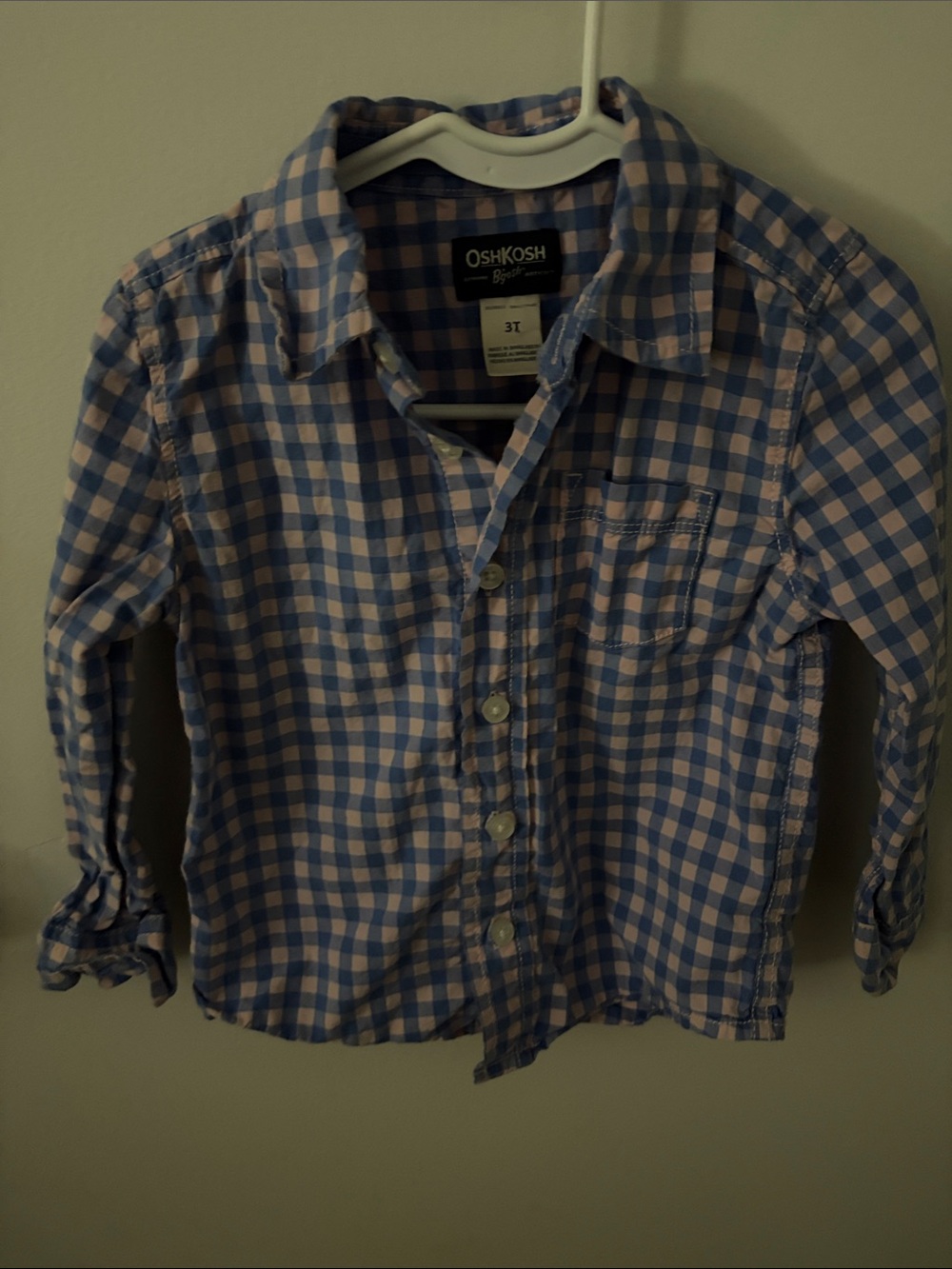 OshKosh B'gosh Blue and White Gingham Button-Down Shirt